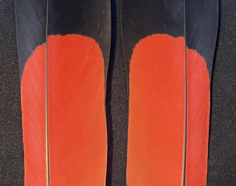 R�dhalet sort kakadue 16