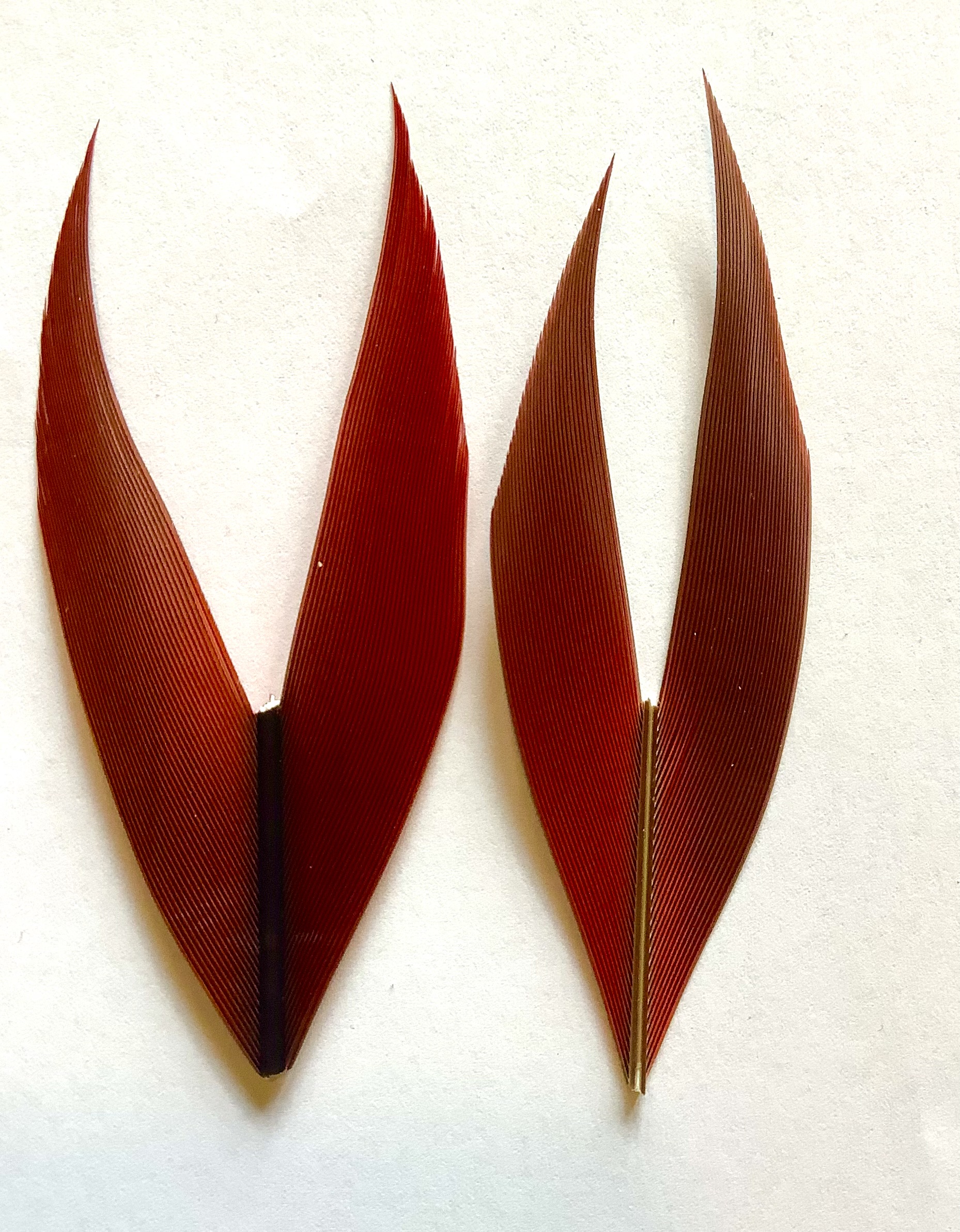 Ara hale m�rker�d