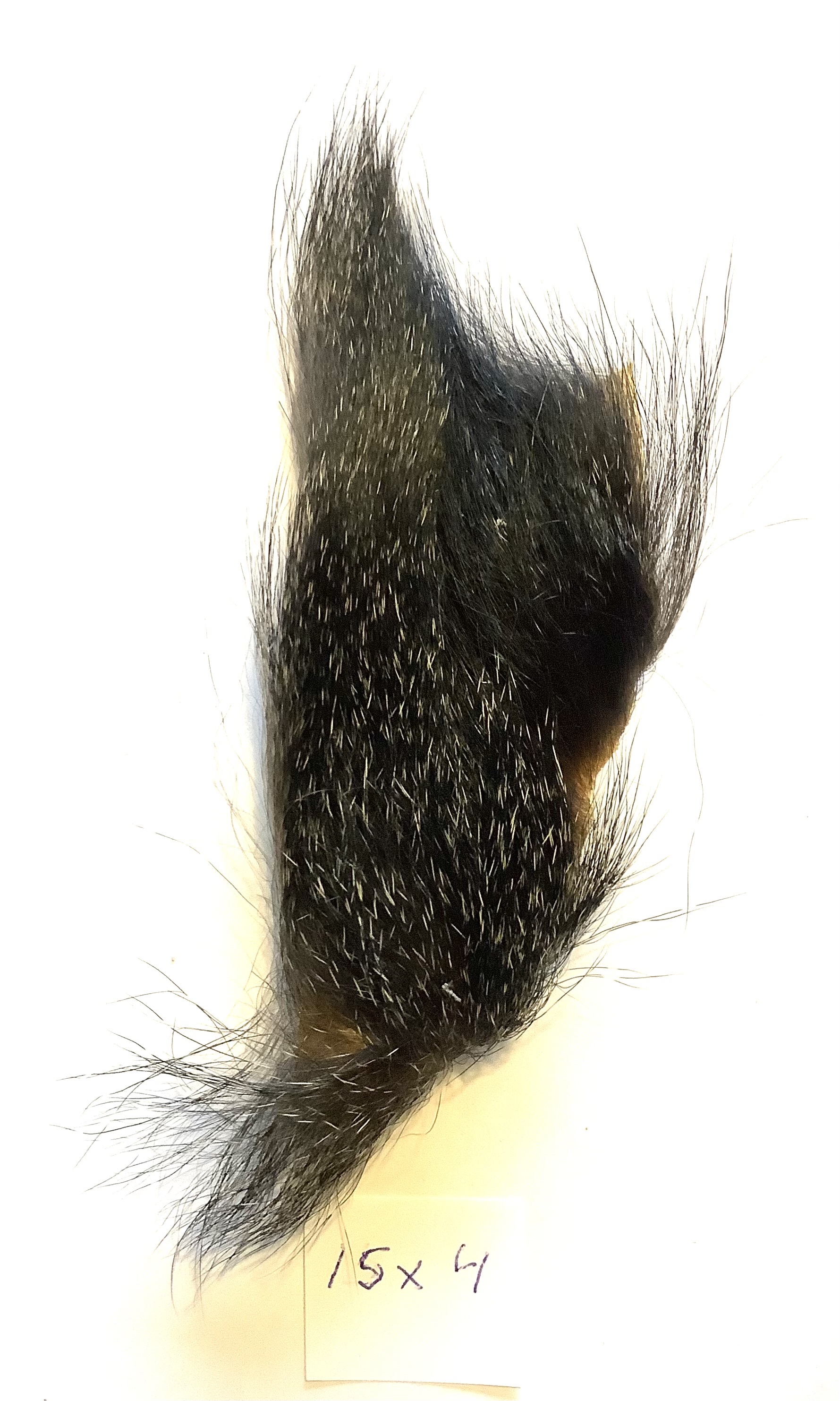 Abeh�r - sp�ttet  15x4 cm.