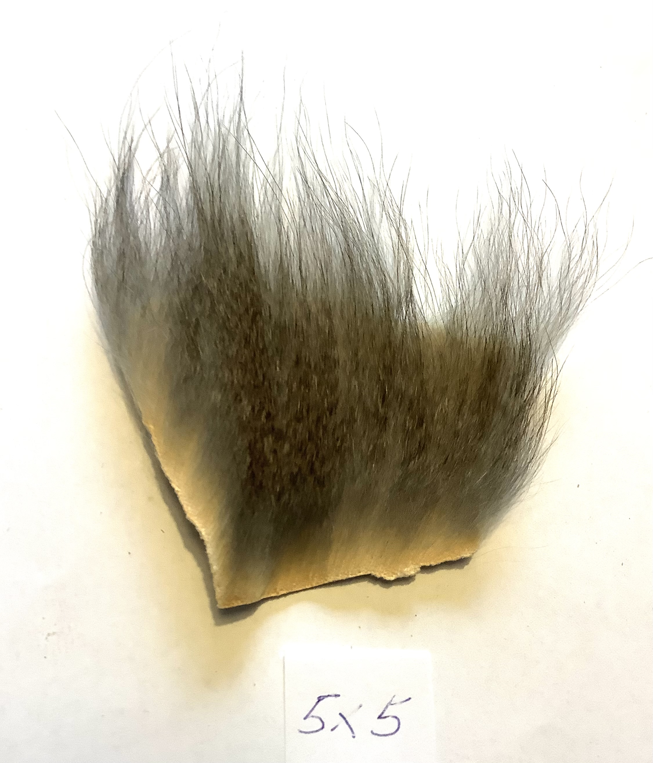 Monkey - speckled 5x5 cm.