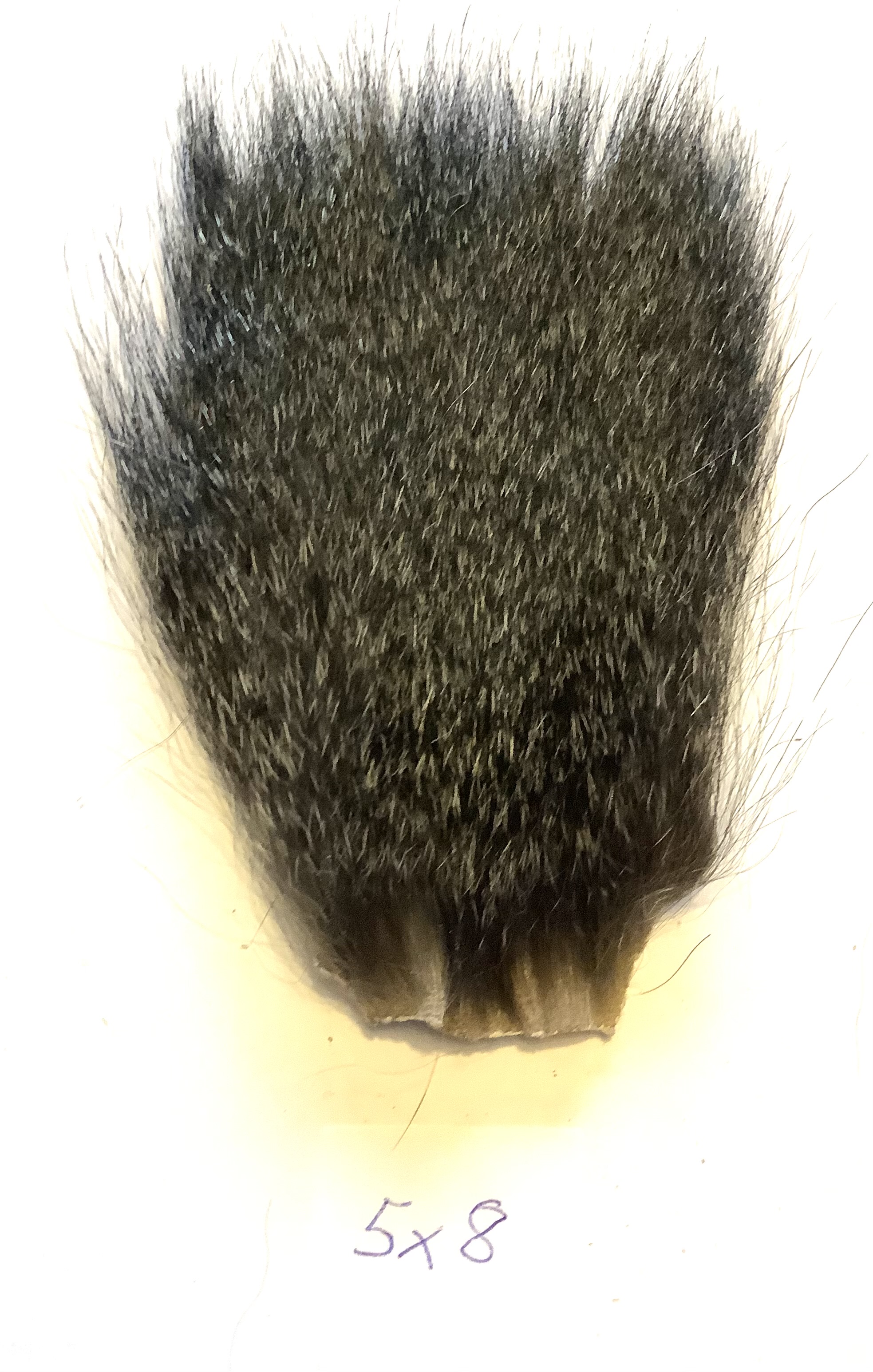 Abeh�r - sp�ttet  5x8 cm.