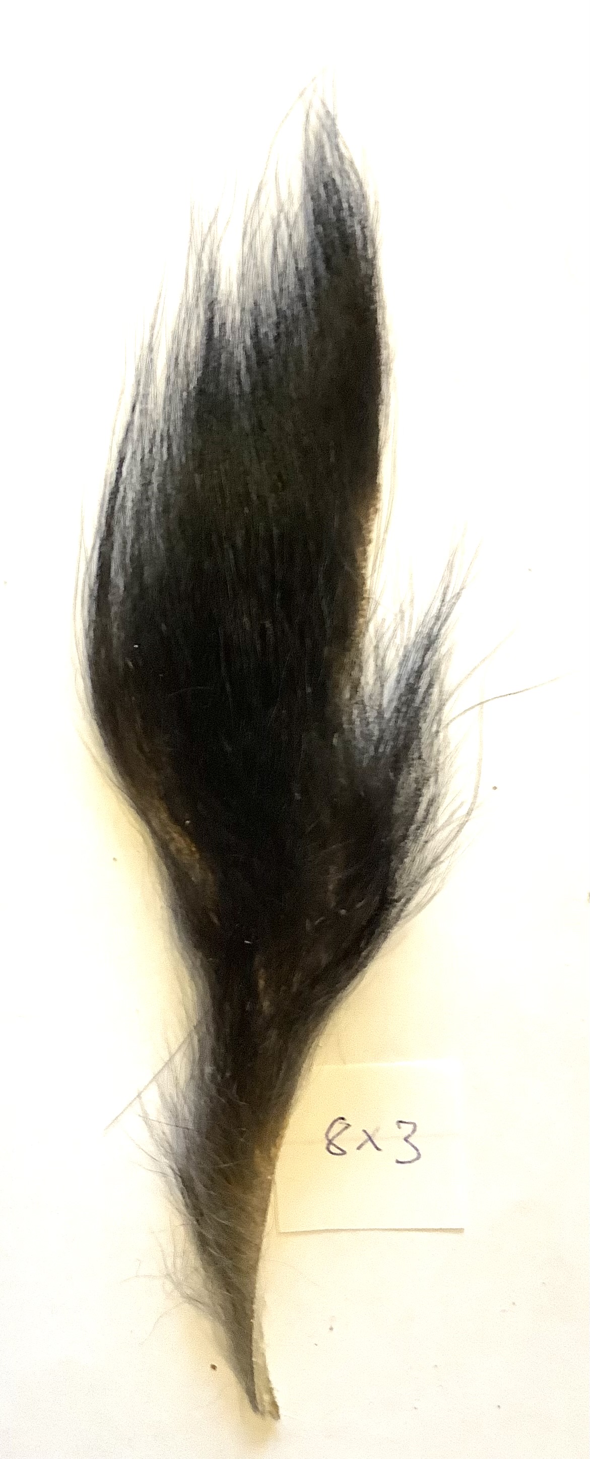 Abeh�r - sp�ttet  8x3 cm.