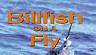 Billfish on a fly
