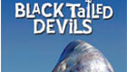 Black tailed devils