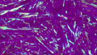 Palmer chenille purple