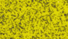 Fino skin mottled gul