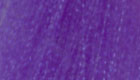 Fluoro fiber purple