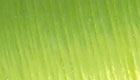 Uni neon floss chartreuse