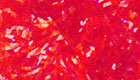 Grand Estaz amber