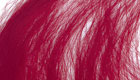Dyed goat  red