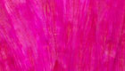 Chinese rooster neck magenta