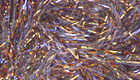 Polarchenille UV copper