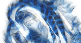 Tiger barred zonker strip blue/white
